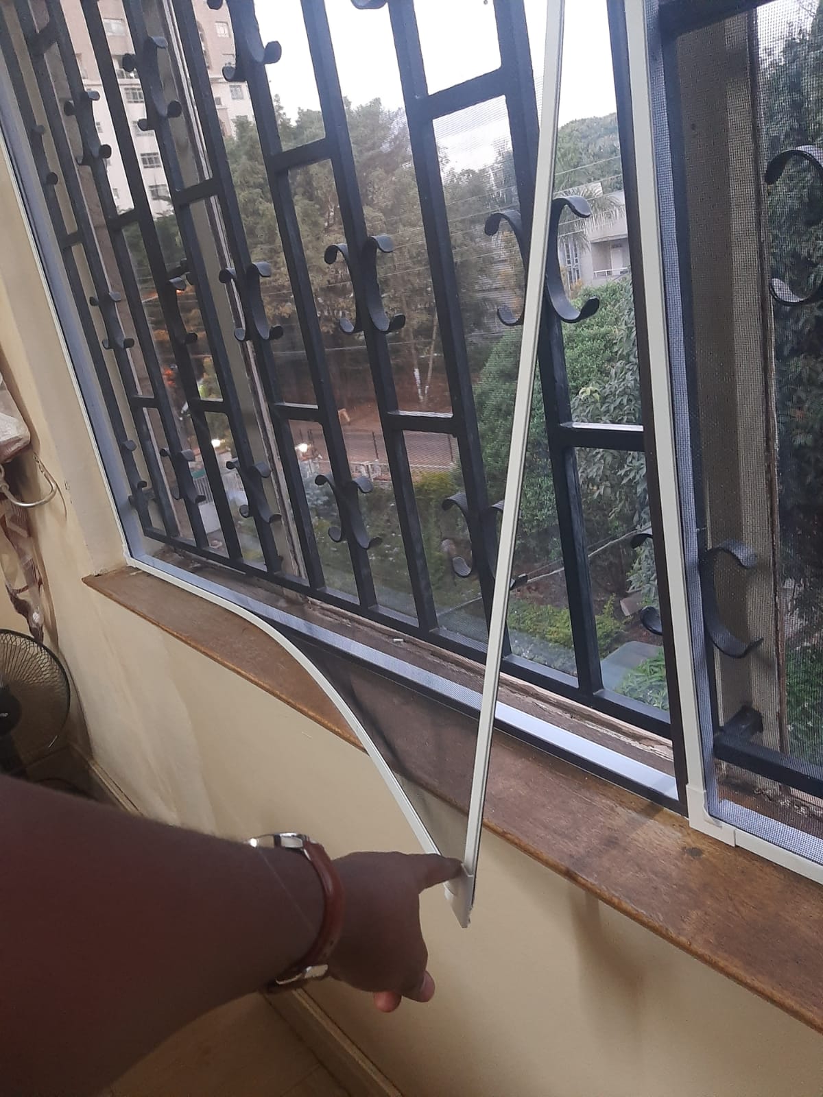 WhatsApp Image 2024-11-07 at 14.41.08_46a1da1d